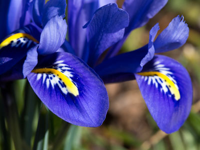 I made it through another winter.  I wasn`t sure I would.