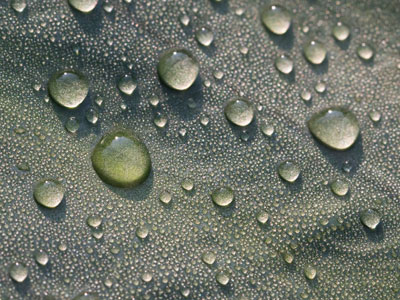 Why watch artificial stuff on screens when there`s so much real stuff to look at?