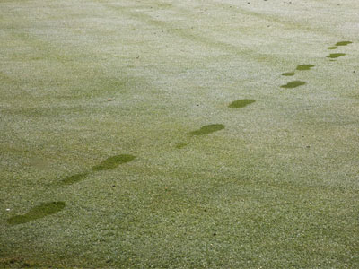 Morning on the tenth hole.