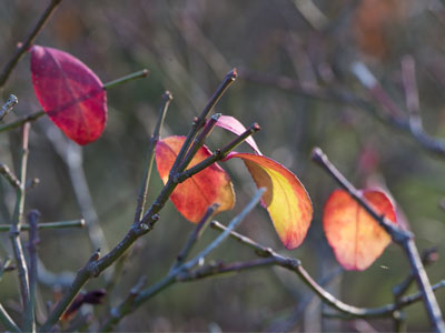 The theme for today.