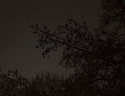 Although I had been up since 4:15am, I was ready to take pictures of fireworks at midnight.  Disappointment!