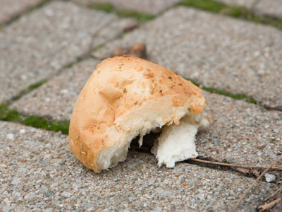 Peanut butter yesterday, stale bread today.  The universe is kind.