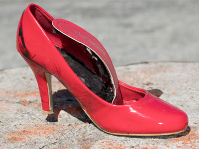 Today I saw my first butterfly of the year, but this was a better photo (see January 9, 2022).