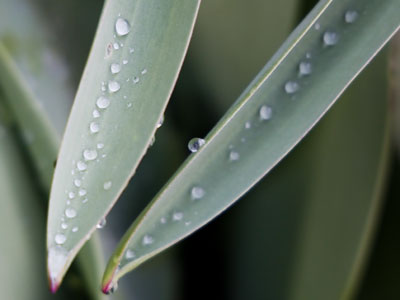 I`ve bought and sold a lot of camera equipment lately, and do not currently have a macro lens for closeups.