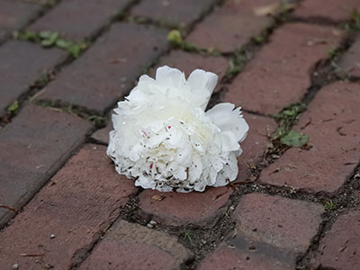 All around us are reminders that life is brief.