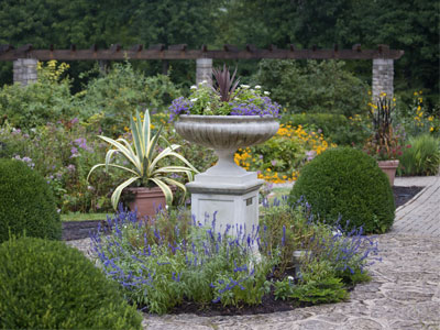 This garden won`t be beautiful for long, so I zoomed out.