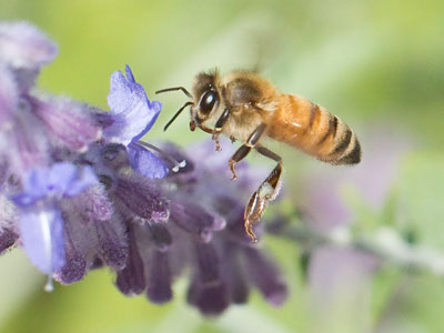 Sometimes I even impress myself.