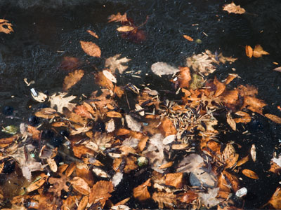 Fall has already been overtaken by winter.