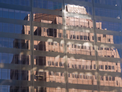 I took all my daily photos as I walked to work today.