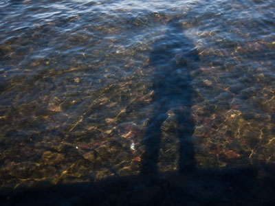 Nothing was swimming, floating or flying near the river, just a strange guy with a camera.
