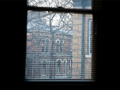 It was a warm, sunny day, but I never made it outside.