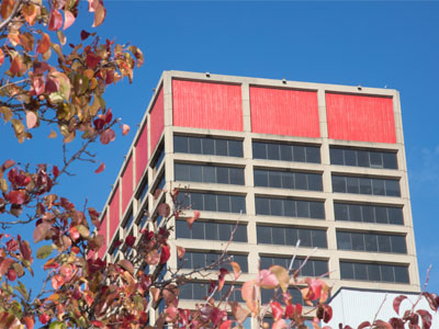 I love watching the buildings turn red in the fall.