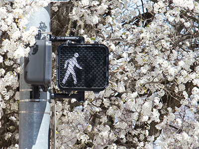 I love a springtime walk.