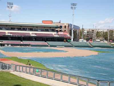 There`s new grass under there (see February 16, 2024).