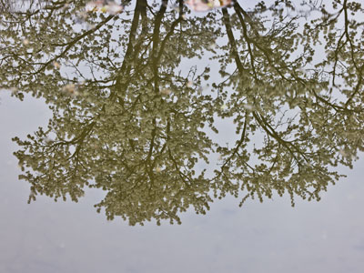 The water is calm and so is my spirit.