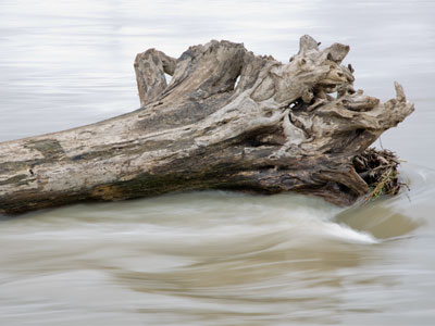 The river was raging and I was grateful for the levee.