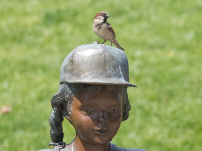 Maybe if I hold really still, a bird will land on my head.