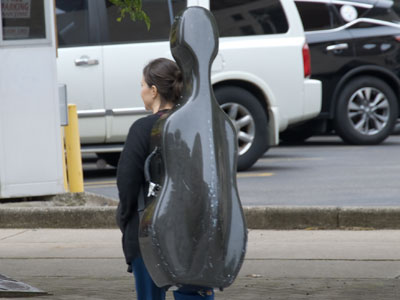Over millions of years, cellists evolved a protective shell.