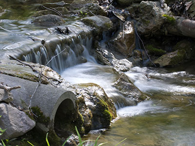 In my photography class this morning, I challenged the students to take a picture of water blurred by movement.