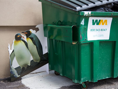 Aren`t penguins an endangered species?