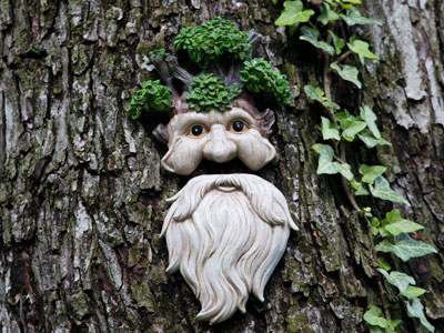 I also pass by this tree daily, but just noticed this today.