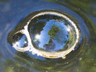 Self-portrait in a bubble.