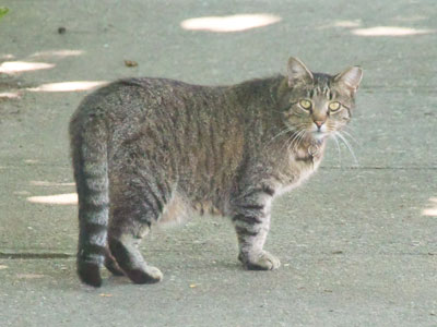 No, don`t look at me.  I`m not your friend.