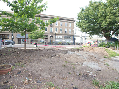 More greenery -- home to birds and butterflies -- has been removed (see May 13 above) but a tree remains.