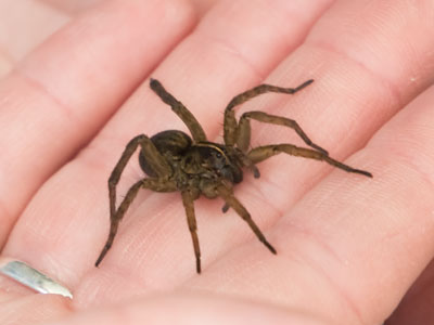 Have you met my friend Charlotte?