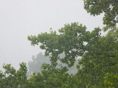 And then I left before the storm began.