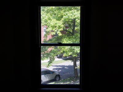Today I looked out this window.