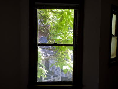 And then I looked out this window.
