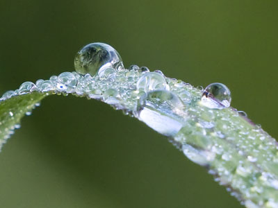 This was a difficult shot, but I`ve got the perception, skills and camera equipment needed to make it happen.