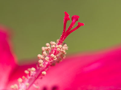 Keep your camera`s ISO at its lowest possible setting.