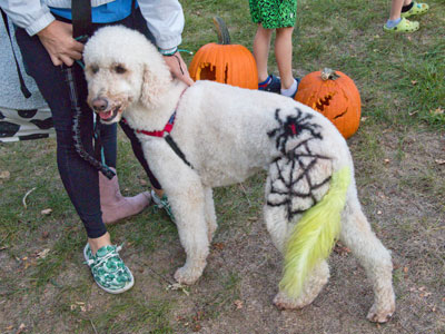 Getting into the Halloween spirit.