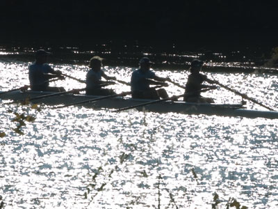 Row, row, row your boat.