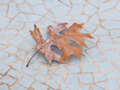 The cycle of life, death and rebirth is spinning into negative territory.