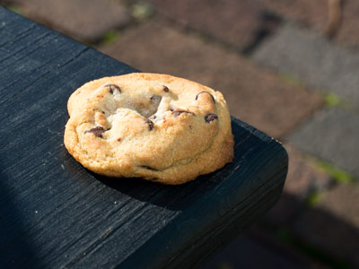 My 2028 presidential platform:  cookies for everyone.