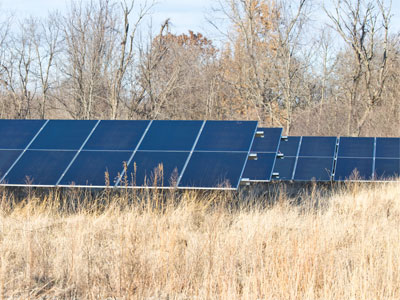 A lot has changed in this prairie (see October 12, 2011).