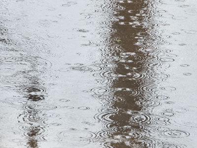 So much for taking pictures outside today.