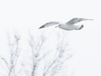 Not much going on today, but at least it wasn`t raining.