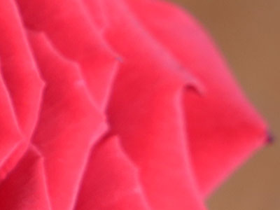 It was pink night.