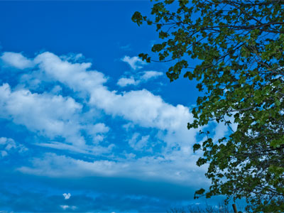 I needed a quiet and relaxed Monday after four frantic days of photography.