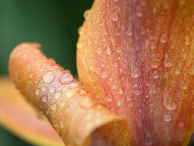 It was quite wet, but I didn`t get rained on.