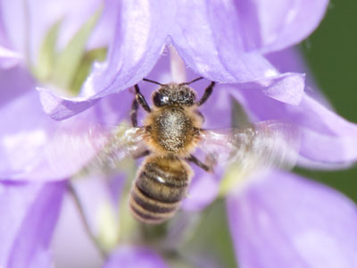 I`m glad to occupy the same planet with this little bug.