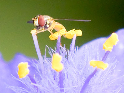 To this bug, I am a giant beyond comprehension.  What giants do we fail to comprehend?