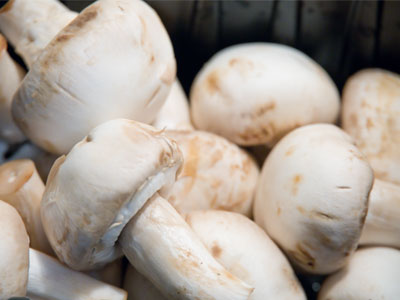 I don`t care about protein.  I just like mushrooms.