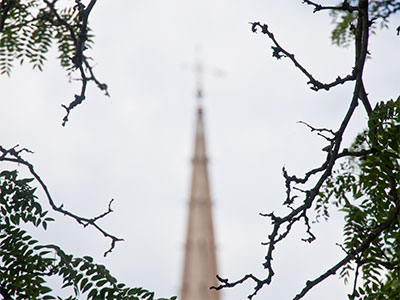 I`ve been experimenting with my camera`s Automatic mode, but this is the last straw (see July 23 above).