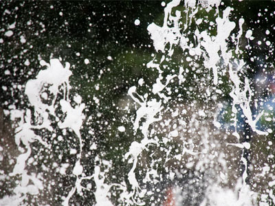 A MetroParks employee was testing the water quality, but he made it clear he didn`t want to be photographed.