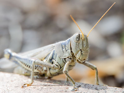 I didn`t expect to crawl on the ground during my lunch break, but I do what`s necessary to get the shot.